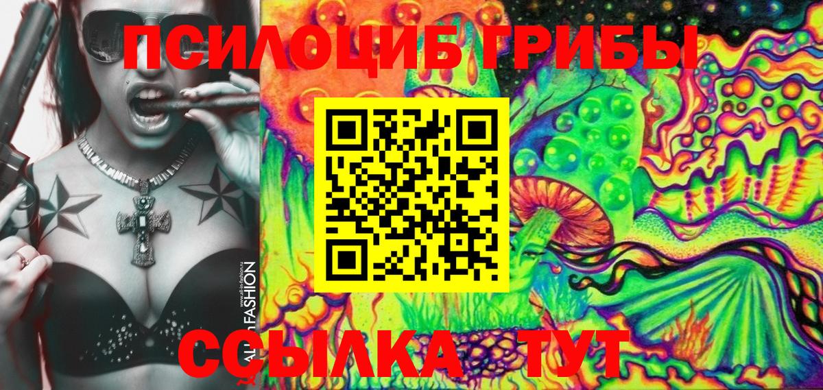 Галлюциногенные грибы Psilocybe Кизляр