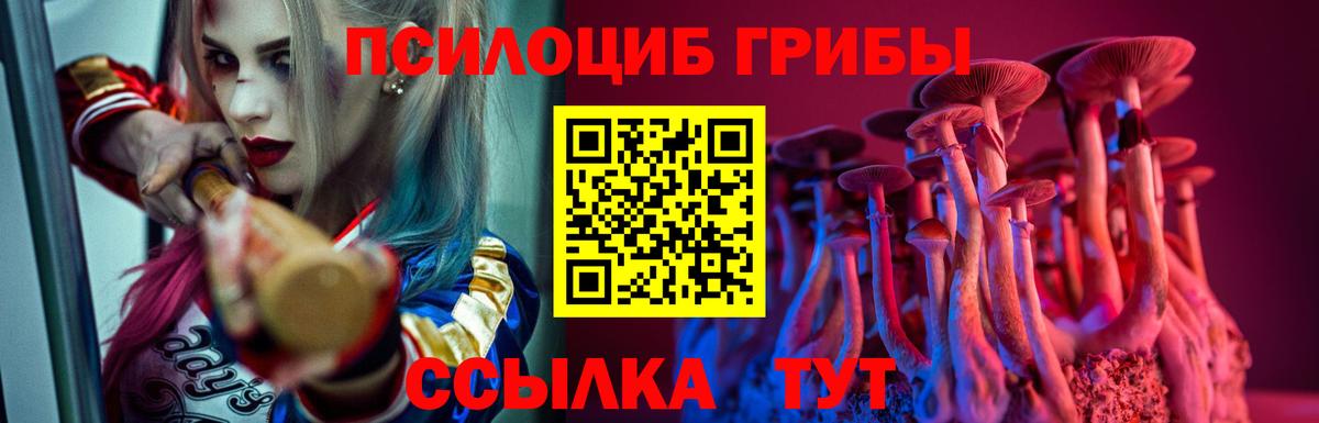Кизляр  Галлюциногенные грибы ЛСД  Галлюциногенные грибы ЛСД  Вход с VPN 